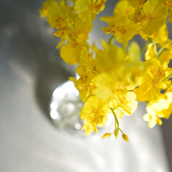 （水換え不要）オンシジュームの花瓶挿し 6枚目の画像