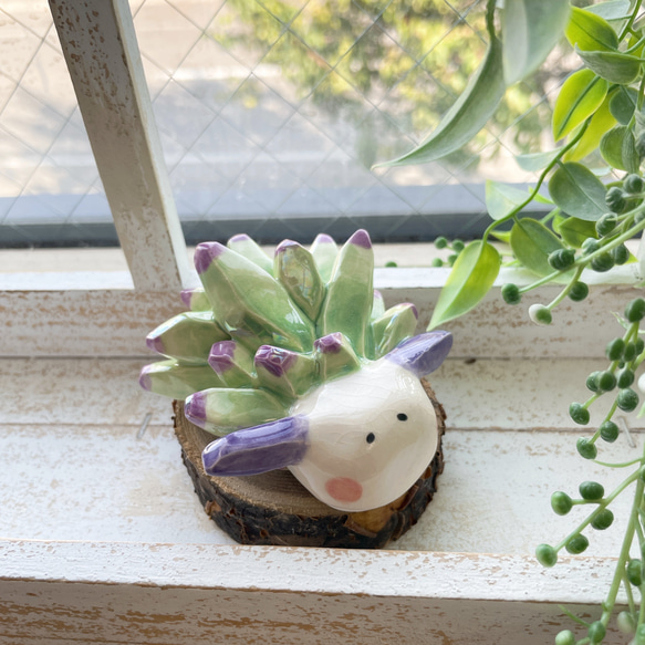 【非売品　美品】　沖縄の陶器 yambaru shop ARTIGIANO