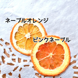 ピンク ネーブル オレンジ  押しフルーツ ハーフ 8枚 ポンカン みかん レジン キャンドル ドライフルーツ 素材 2枚目の画像
