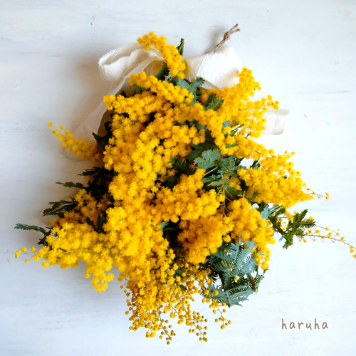 3月〜4月お届け*花言葉は“感謝”春を告げる花 ミモザのスワッグ