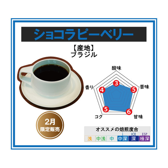 【2月限定】ショコラ ピーベリー＜ブラジル＞ 1枚目の画像