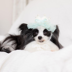 ＜デザインリニューアル！>ふんわりmintチュールの　mini crown 犬用アクセサリー　ペットの記念日に♪ ベビー 11枚目の画像