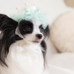 ＜デザインリニューアル！>ふんわりmintチュールの　mini crown 犬用アクセサリー　ペットの記念日に♪ ベビー 9枚目の画像