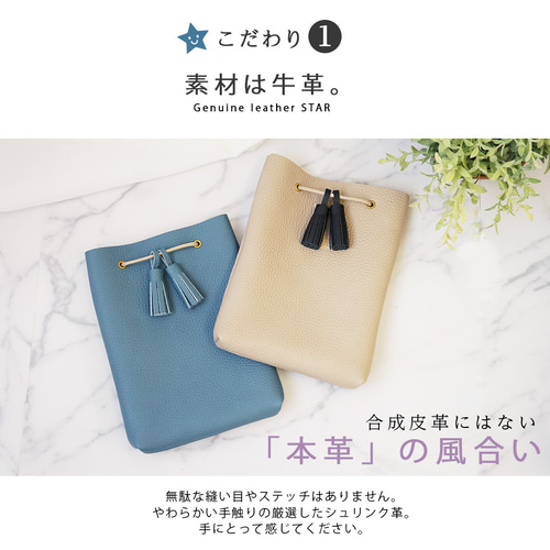 ◎極美品 希少 ロエベ タッセル ショルダーバッグ アクセサリーポーチ ゴールド ◎極美品 希少 ロエベ タッセル ショルダーバッグ アクセサリー