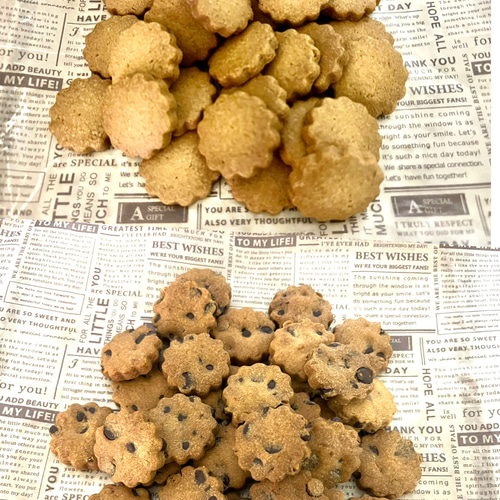 10/4発送！2缶40枚ひとくちサイズ無添加チョコチップand有機