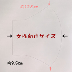 コットンリネン☆ダイヤモンドリリー/立体マスク・シルクプロテイン　スモークグレー 6枚目の画像