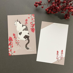 猫と南天 ポストカード（３色セット） 6枚目の画像