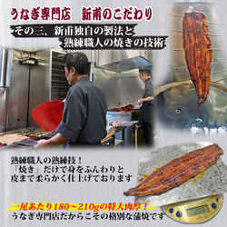 うなぎ専門店の伝統の逸品　こだわりの蒲焼・白焼各一本セット　伝承のタレ・山椒・厳選醤油付　KL1SL1 8枚目の画像