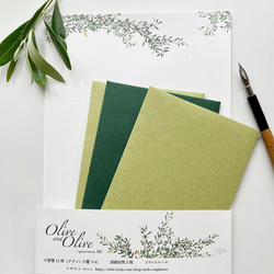 再販　Olive & Olive　〜green breezeB5　レターセット 1枚目の画像