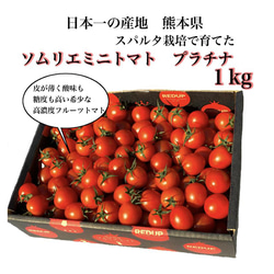 ①【希少な高濃度フルーツトマト】ソムリエミニトマト　プラチナ１kg 1枚目の画像
