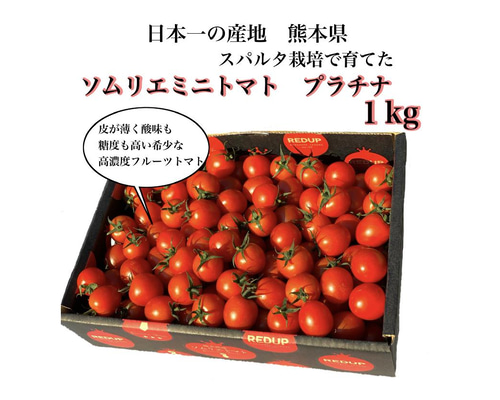 【極み】希少な高濃度フルーツトマト　ソムリエミニトマト　プラチナ３kg（１２０玉～２００玉） d2caf4fff67751c578f141b1cb80aa