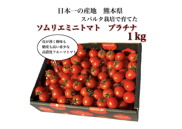 ①【希少な高濃度フルーツトマト】ソムリエミニトマト　プラチナ１kg 1枚目の画像