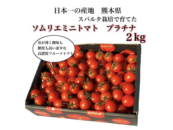 ②【希少な高濃度フルーツトマト】ソムリエミニトマト　プラチナ箱込み2kg 1枚目の画像