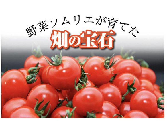 ②【希少な高濃度フルーツトマト】ソムリエミニトマト　プラチナ箱込み2kg 11枚目の画像