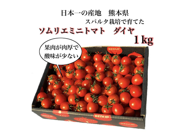 ③【塩トマトのようなフルーツトマト】ソムリエミニトマト　ダイヤ１kg 1枚目の画像