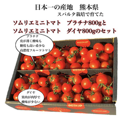 ⑤【食べ比べ】ソムリエミニトマト　プラチナ800gとダイヤ800g 1枚目の画像