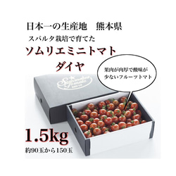 ①『極み』塩トマトのようなフルーツトマト　ソムリエミニトマト　ダイヤ１.５kg（90玉〜150玉） 1枚目の画像
