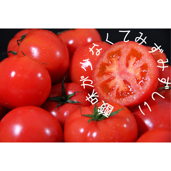 ⑥『極み』ソムリエトマト1.3kgとソムリエミニトマト　プラチナ１kg 8枚目の画像