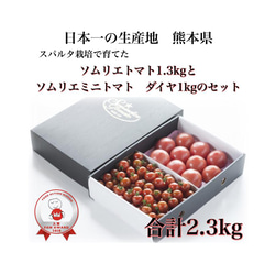 ⑦『極み』ソムリエトマト1.3kgとソムリエミニトマト　ダイヤ１kgのセット 1枚目の画像