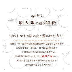 【受賞歴３回】ソムリエトマト４kg〜５kg（18玉～28玉) 9枚目の画像