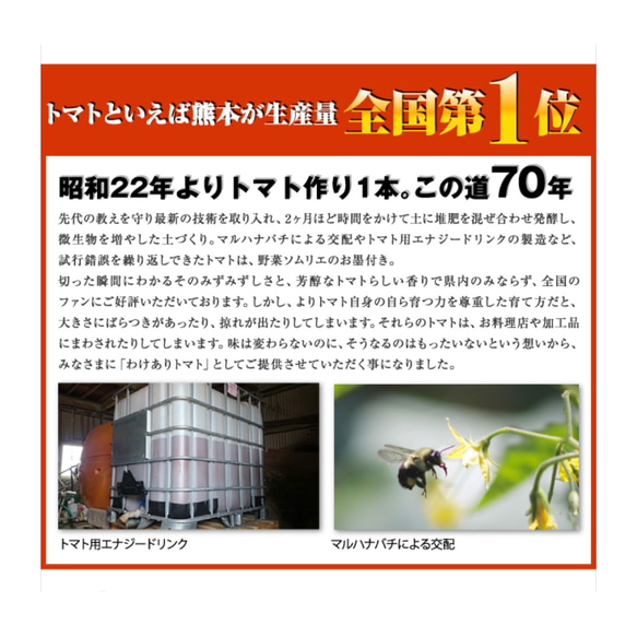 【受賞歴３回！】訳ありソムリエトマト2kg〜3kg（８玉～18玉) ②のオマケ 2枚目の画像