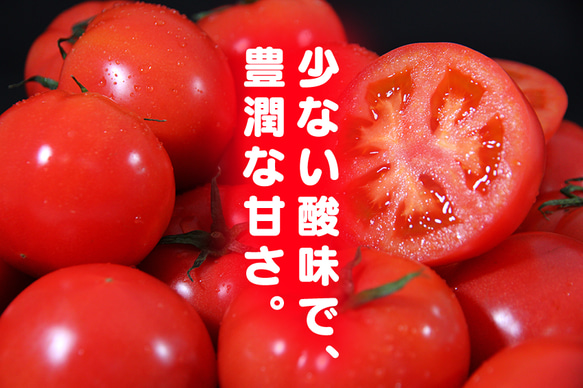 【受賞歴３回！】訳ありソムリエトマト４．５〜５.５kg（１８玉～３６玉)①のオマケ❗️マイクロトマト 3枚目の画像