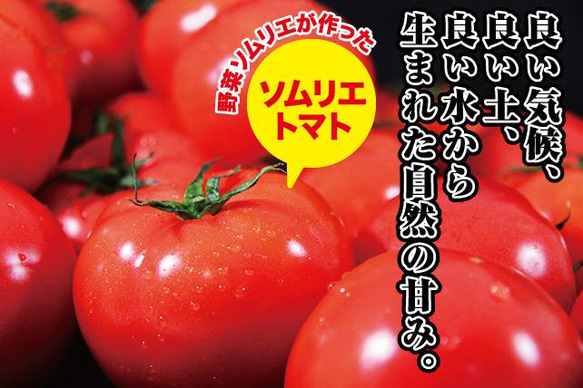 【受賞歴３回！】訳ありソムリエトマト４．５〜５.５kg（１８玉～３６玉)①のオマケ❗️マイクロトマト 2枚目の画像