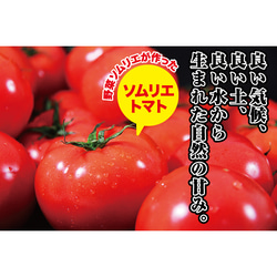 【受賞歴３回！】訳ありソムリエトマト4.5〜5.5kg（１８玉～３６玉) ③のオマケ 7枚目の画像