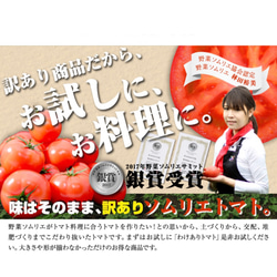 【受賞歴３回！】訳ありソムリエトマト4.5〜5.5kg（１８玉～３６玉) ③のオマケ 11枚目の画像