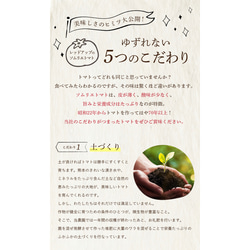 【受賞歴３回！】訳ありソムリエトマト4.5〜5.5kg（１８玉～３６玉) ③のオマケ 3枚目の画像