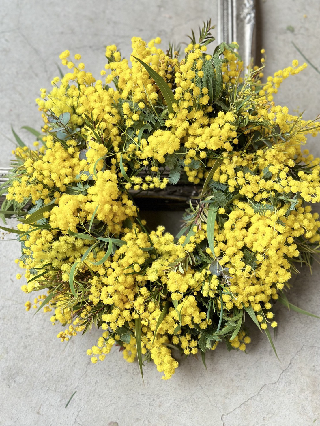 ＜受注販売＞　ミモザたっぷりのリース　fresh to dry