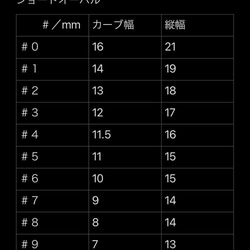 《＊再販＊》ネイルチップ【No.16】 7枚目の画像