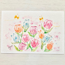 3枚セット「ふんわりチューリップ」水彩画イラストポストカード 春 花  