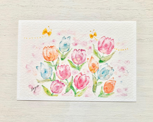 3枚セット「ふんわりチューリップ」水彩画イラストポストカード