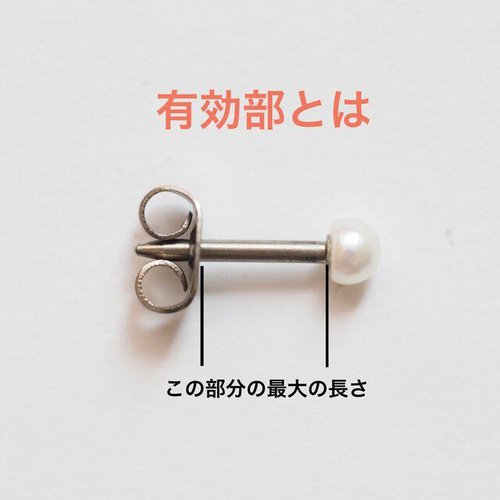 【楽ギフ_のし宛書】 立爪 Silver 誕生石 セカンドピアス シルバー 純チタン 太軸 【6 アクセサリー