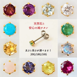 立爪 Gold 誕生石 セカンドピアス ゴールド 純チタン 太軸 【6-1