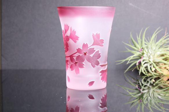 舞桜のタンブラー グラス 2枚目の画像