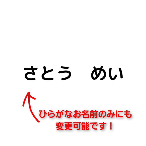 【お名前入りタグ付きも可！】おとくな3点セットアッシュピンクのアネモネ柄レッスンバック+お弁当袋+コップ袋 11枚目の画像