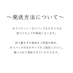 春色トライアングル（ミント）Lサイズ 10枚目の画像