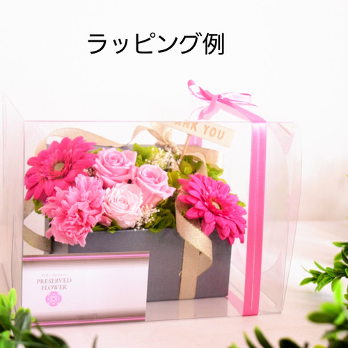 PINｋ RIＢＢON様ありがとうございます 61XCm7rw1RL._UF350,350_QL50_.jpg
