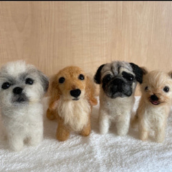 オーダーメイド 羊毛フェルト 愛犬 ぬいぐるみ 犬 わんちゃん うちの子