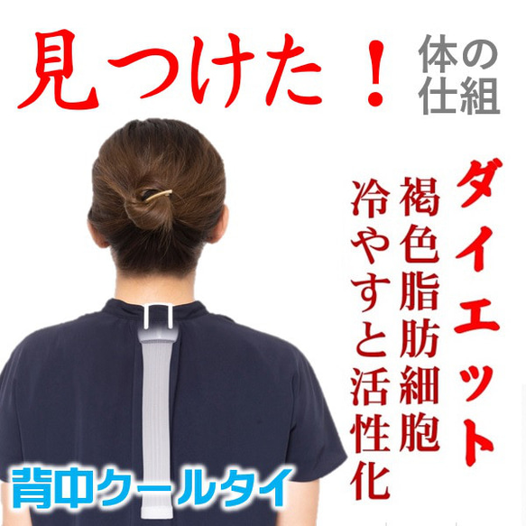 見るけた！自立 交換 神経 体の仕組 細胞で痩せる ダイエット器具 脂肪燃焼 プヨプヨ脂肪 中性脂肪 「背中クールタイ」 1枚目の画像