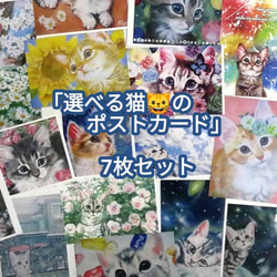 選べる猫のポストカード7枚セット 1枚目の画像