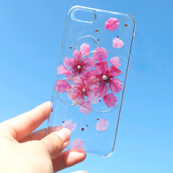 iPhone15ケース iPhone14Pro スマホケース　桜　さくら　スマホカバー　クリアケース　スマホショルダー 6枚目の画像