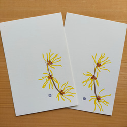 no.67『マンサク』・季節の草花で彩る手捺し原画ポストカード（2枚入り） 1枚目の画像
