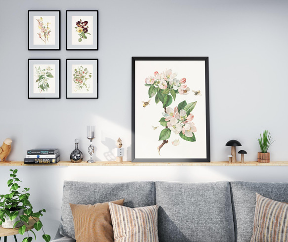 【NO.28】林檎の木の花と蜜蜂アートポスター☆リンゴボタニカルフラワー虫インテリアヴィンテージアンティークA4A3A2 11枚目の画像