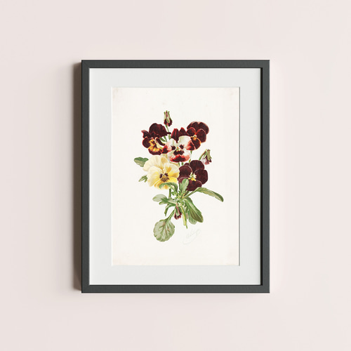 お花ポスター【手描き】 暮らしの手帖 花森安治の表紙画ポストカードA 1,100円(税込