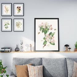 【NO.30】マウランディアの花アートポスターボタニカルフラワー植物☆インテリアヴィンテージアンティークA3A2A1B4 12枚目の画像