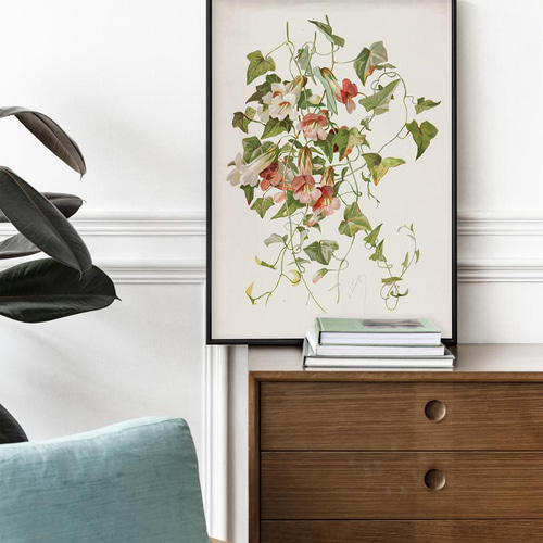 ポスター　手造りパロディ－ア－ト　インテリア NO.30】マウランディアの花アートポスターボタニカルフラワー