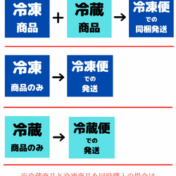  第11張的照片